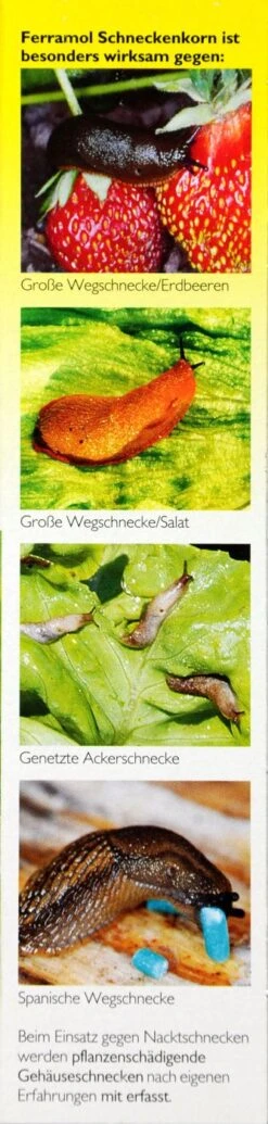 Neudorff Ferramol Schneckenkorn - 500 G 7 Neudorff Ferramol Schneckenkorn - 500 G -Bio Garten Neudorff20Ferramol20Schneckenkorn 32718 R01